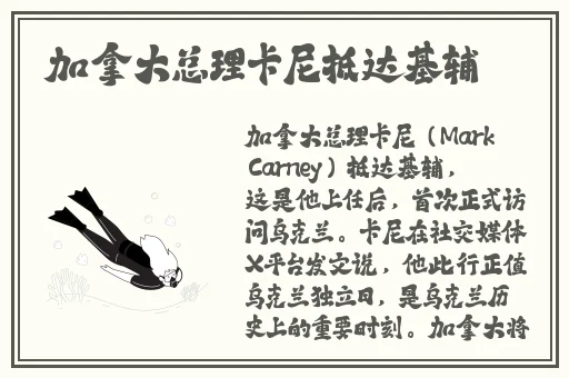 少妇**高潮惨叫无码